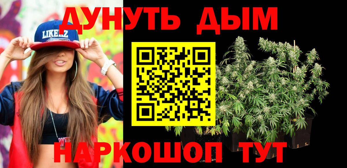 Каннабис планчик Прохладный